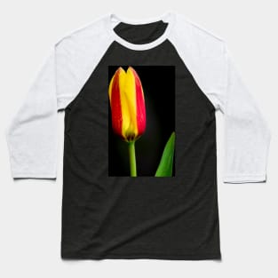 Tulip Baseball T-Shirt